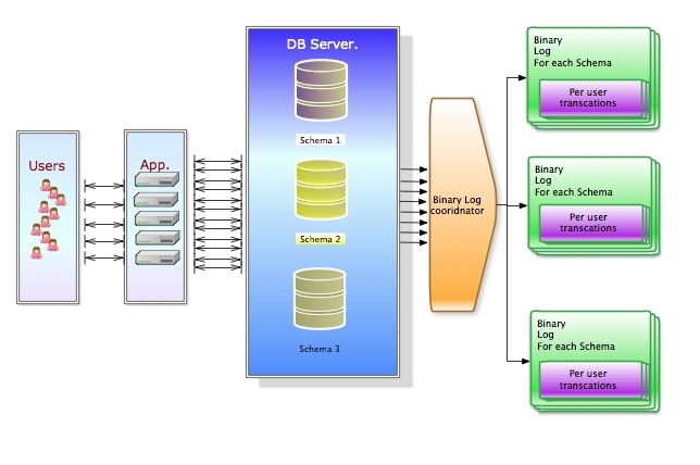 binlog_schema_user